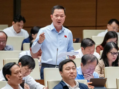 Quy định chặt chẽ lấy đất lúa, đất lâm nghiệp làm dự án nhà ở thương mại