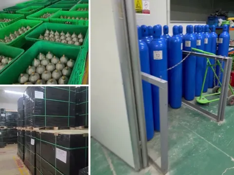 Hà Nội: Triệt phá đường dây nhập lậu, tiêu thụ hàng nghìn tấn khí cười