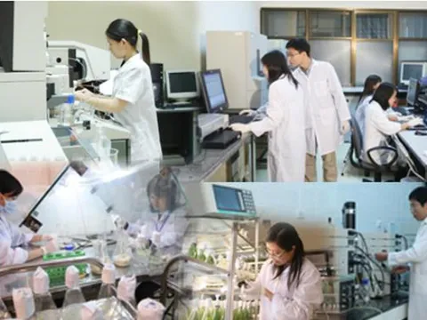 Đề xuất chính sách phát triển khoa học, công nghệ và thúc đẩy đổi mới sáng tạo