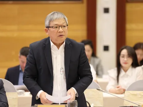 Yêu cầu định giá tài sản 413 dự án liên quan Công ty Cây xanh Công Minh