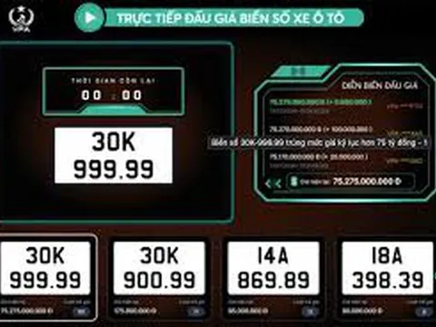 Trình tự các bước thực hiện một cuộc đấu giá biển số xe