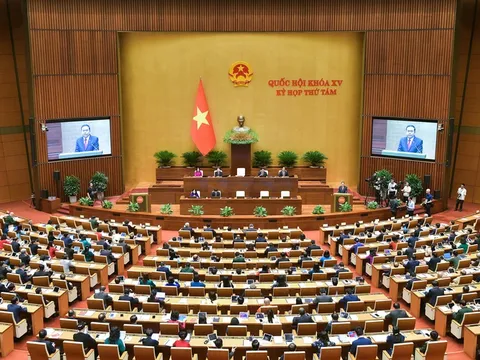 Quốc hội ban hành Nghị quyết Kỳ họp thứ 8, Quốc hội khóa XV