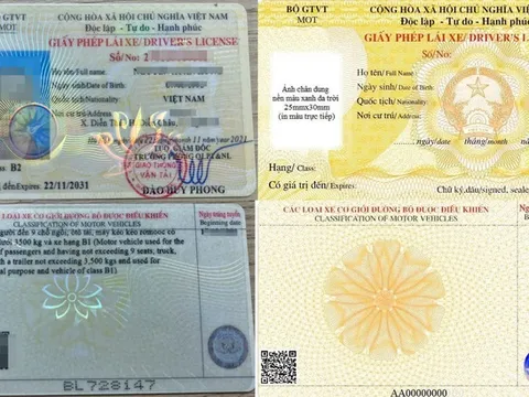 Thủ tục cấp, đổi giấy phép lái xe mẫu mới từ 1/1/2025