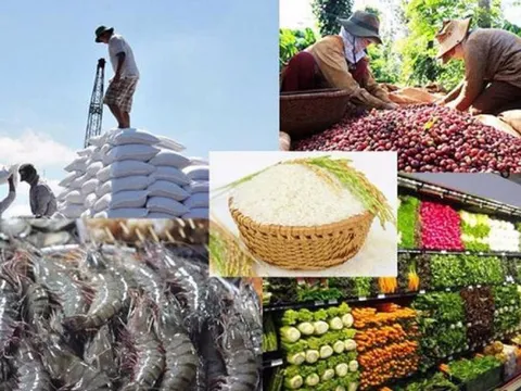 Đề xuất 4 chính sách phát triển nhãn hiệu, thương hiệu nông sản Việt Nam