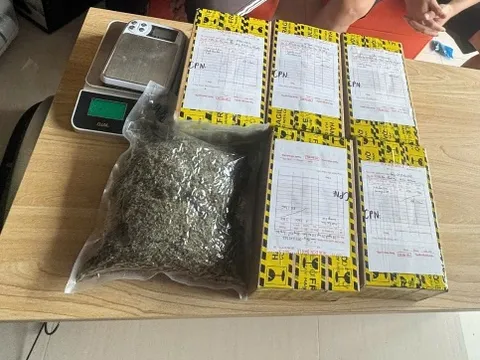 Hà Nội: Bắt giữ nhóm thanh niên mua bán cần sa ở quận Ba Đình