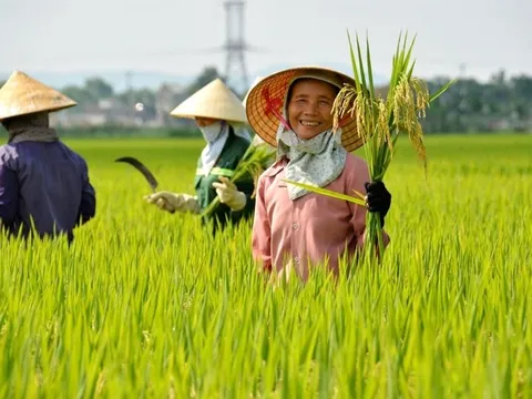 Đề xuất miễn thuế sử dụng đất nông nghiệp đến hết năm 2030