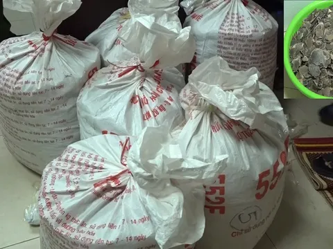 Bắt nhóm đối tượng vận chuyển, buôn bán động vật nguy cấp, quý, hiếm