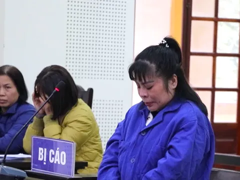 Nữ giám đốc lừa đảo chiếm đoạt hơn 4 tỷ đồng