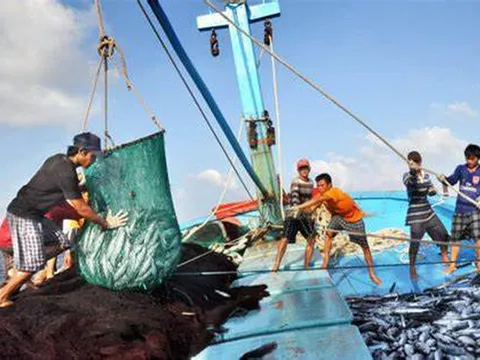Nghiêm túc xử lý vi phạm khai thác thủy sản