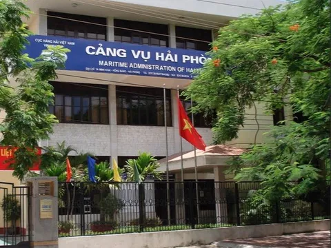 Quy định mới về tổ chức, hoạt động của Cảng vụ hàng hải