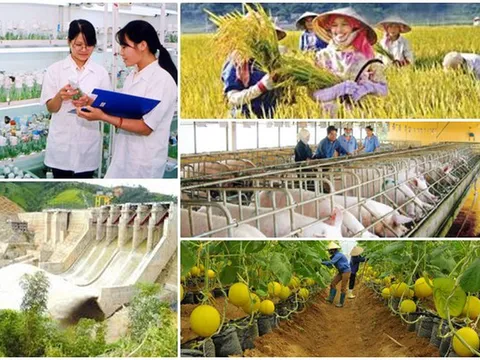 Sử dụng trí tuệ nhân tạo để giải đáp thắc mắc về Tổng điều tra nông thôn, nông nghiệp năm 2025