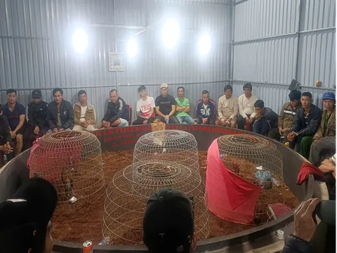 Bắt 50 đối tượng đánh bạc dưới hình thức đá gà ở Đắk Lắk