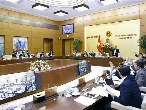 Phê chuẩn bộ máy làm việc của Viện Kiểm sát nhân dân tối cao