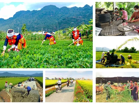 Thủ tướng ủy quyền 3 Bộ, cơ quan thông báo mục tiêu, nhiệm vụ năm 2025 của các chương trình mục tiêu quốc gia