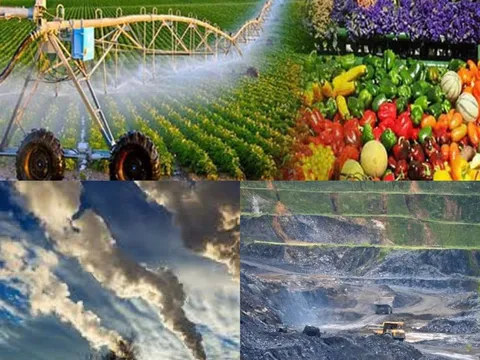 Quy định chức năng, nhiệm vụ, quyền hạn và cơ cấu tổ chức của Bộ Nông nghiệp và Môi trường