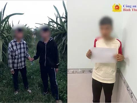 Phát hiện nhóm học sinh lớp 9 trộm dây điện trong rẫy thanh long