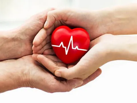 Đề xuất quy định mới về hiến, lấy, ghép mô, bộ phận cơ thể người