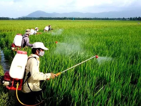 Đề xuất sửa Danh mục thuốc bảo vệ thực vật được phép sử dụng tại Việt Nam
