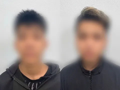 Tạm giữ hình sự 2 đối tượng về hành vi gây rối trật tự công cộng