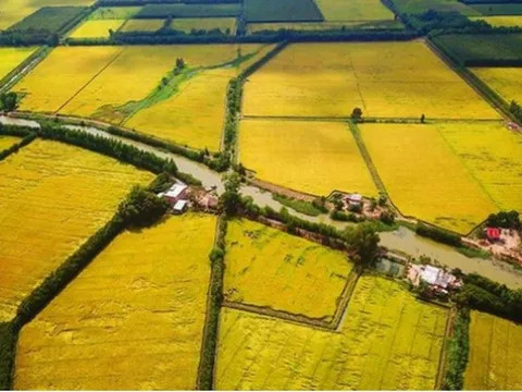 Quy định chi tiết các loại đất trong nhóm đất nông nghiệp