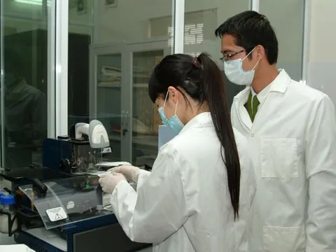 Chế độ bồi dưỡng giám định tư pháp mới áp dụng từ 20/5/2025