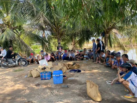 Triệt xóa tụ điểm đá gà ăn tiền, bắt giữ 31 đối tượng