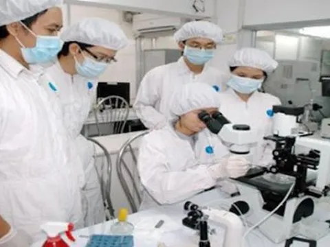 Quy định chế độ, chính sách đối với chuyên gia cao cấp