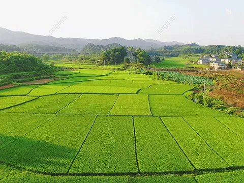 Trường hợp nào chuyển mục đích sử dụng đất không phải xin phép?