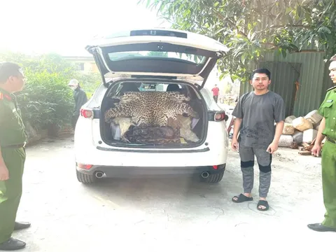 Ninh Bình: Khởi tố đối tượng buôn bán động vật nguy cấp, quý hiếm