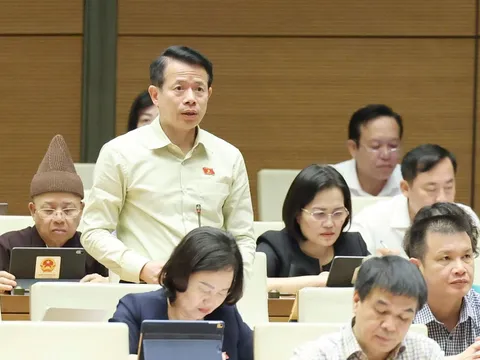 Cần thiết ban hành Luật nhằm đảm bảo tổ chức bộ máy tinh gọn, hiệu năng