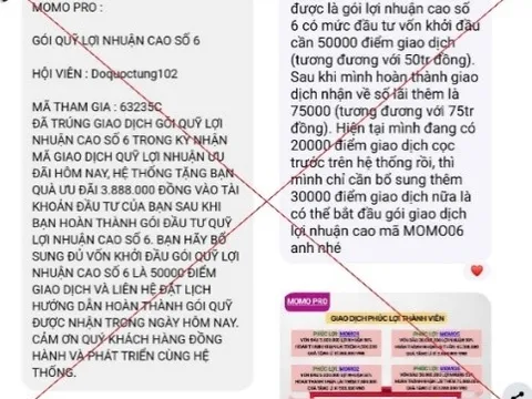 Người đàn ông mất hơn 300 triệu đồng khi đầu tư qua ứng dụng MoMo Pro giả mạo