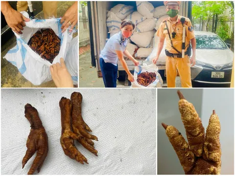 Phát hiện, thu giữ hơn 1,4 tấn chân gà không rõ nguồn gốc