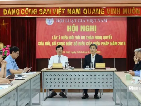 Sửa đổi Hiến pháp: Đề xuất loại hình 'tổ chức chính trị – xã hội – nghề nghiệp, các hội quần chúng do Đảng, Nhà nước giao nhiệm vụ'