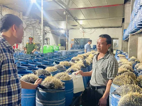 Khởi tố 3 đối tượng dùng hóa chất độc hại để sản xuất giá đỗ