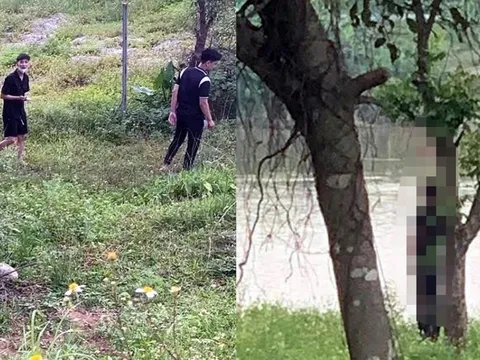 Phát hiện thi thể nam giới treo trên cây ở Hà Nội