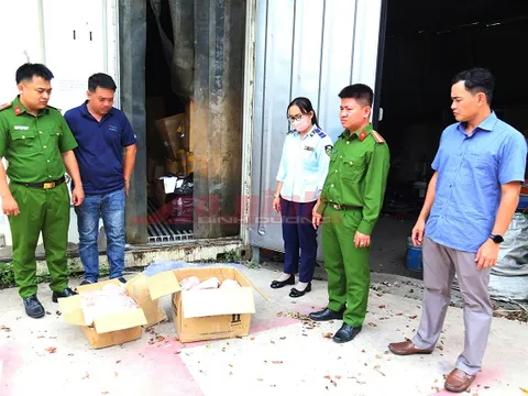 Phát hiện hơn 11 tấn thực phẩm đông lạnh không rõ nguồn gốc ở Bình Dương