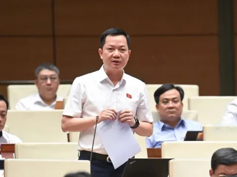 Đề nghị giám sát chặt tình trạng hàng giả, hàng nhái, hóa đơn tính thuế