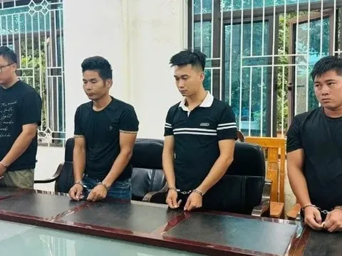 Khởi tố nhóm đối tượng buôn lậu gần 100.000 cây dó bầu