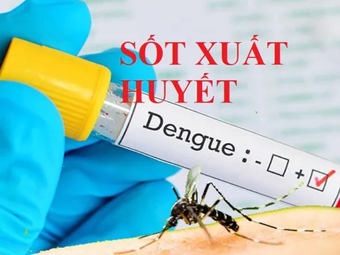 Thủ tướng Chính phủ chỉ đạo tăng cường phòng, chống bệnh sốt xuất huyết