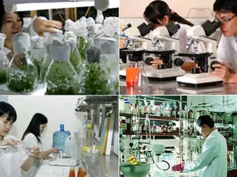 Điều kiện thành lập tổ chức khoa học và công nghệ