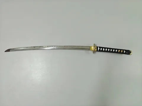 Đề nghị truy tố đối tượng dùng kiếm chém anh họ