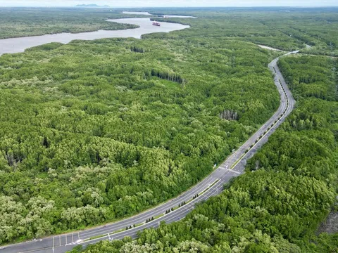 Bổ sung quy định về tạm sử dụng rừng để thi công các dự án cấp thiết