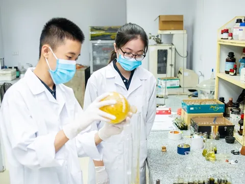 Đề xuất chính sách trọng dụng nhà khoa học trẻ tài năng, kỹ sư trẻ tài năng