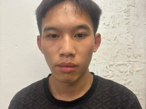 Bắt tài xế taxi cướp giật tài sản của du khách