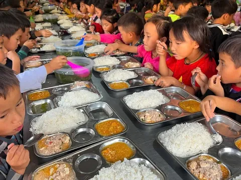 Hoàn thiện Nghị định về miễn, giảm học phí; hỗ trợ bữa trưa cho học sinh biên giới