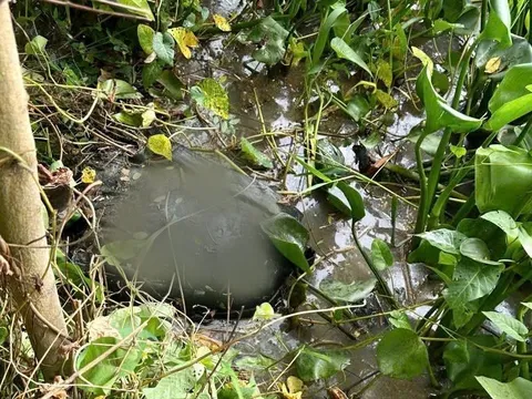 Khởi tố người đàn ông sát hại 'vợ hờ' rồi phi tang thi thể