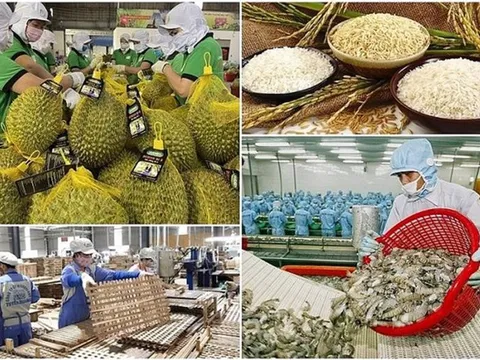 Tăng cường truy xuất nguồn gốc, đảm bảo chất lượng sản phẩm nông, lâm, thủy sản xuất khẩu