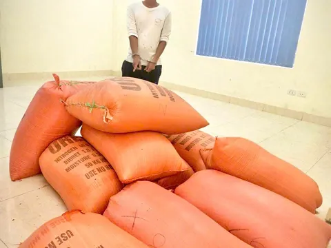 Bắt tạm giam đối tượng trộm hơn 400kg lúa ở Hà Tĩnh