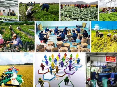 Quy định mới về thành lập Quỹ hợp tác xã địa phương hoạt động theo mô hình hợp tác xã