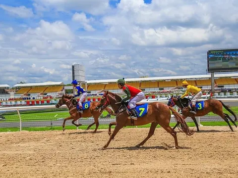 Đề xuất quy định mới về kinh doanh đặt cược đua ngựa, đua chó, bóng đá quốc tế